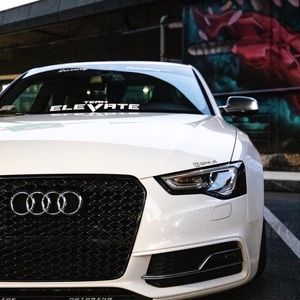 Meet your Posher, Dylan